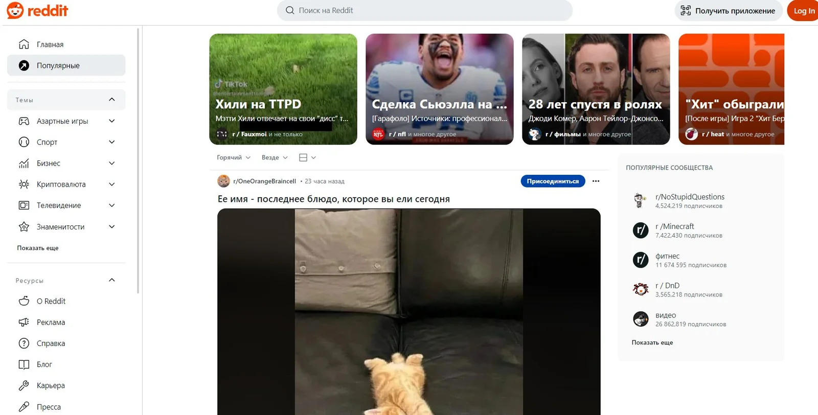 4search engine.JPG