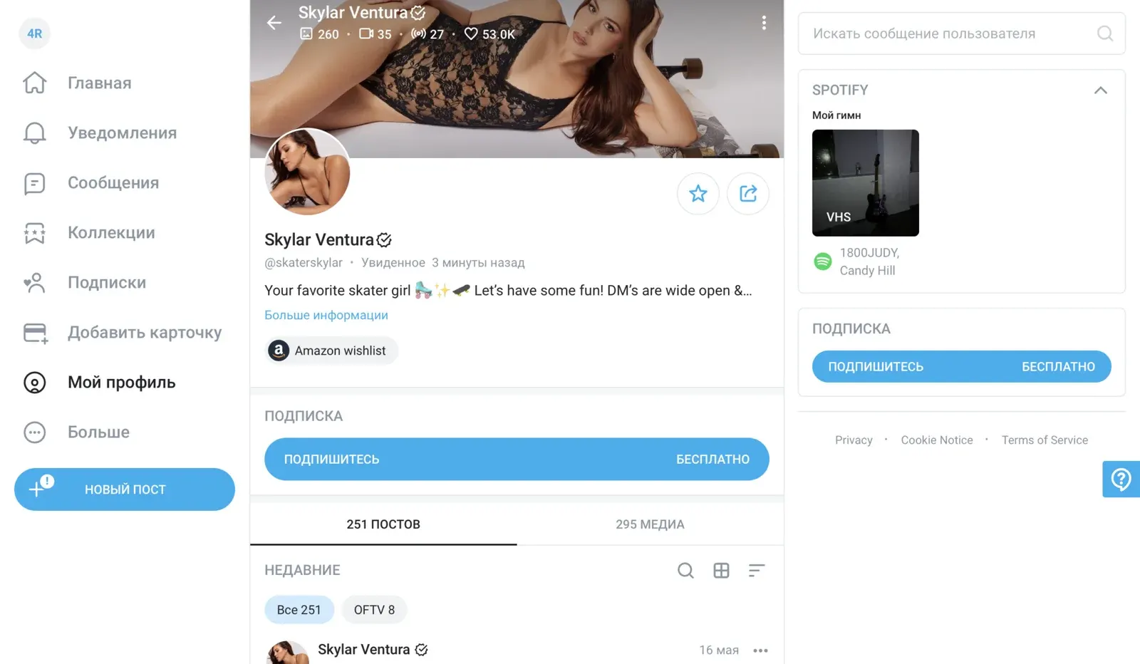 Seção Meu perfil do OnlyFans, primeira captura de tela