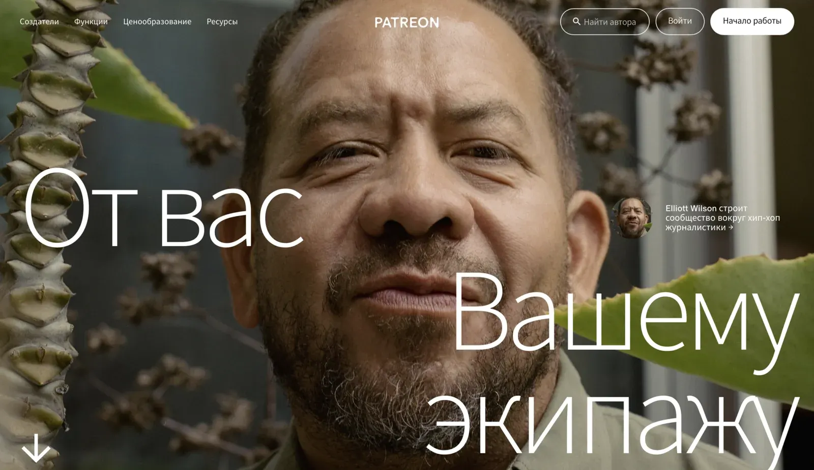 Patreon home page screenshot