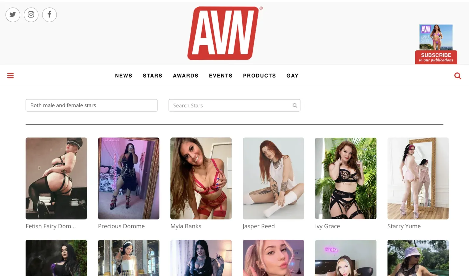 AVN Stars home page screenshot
