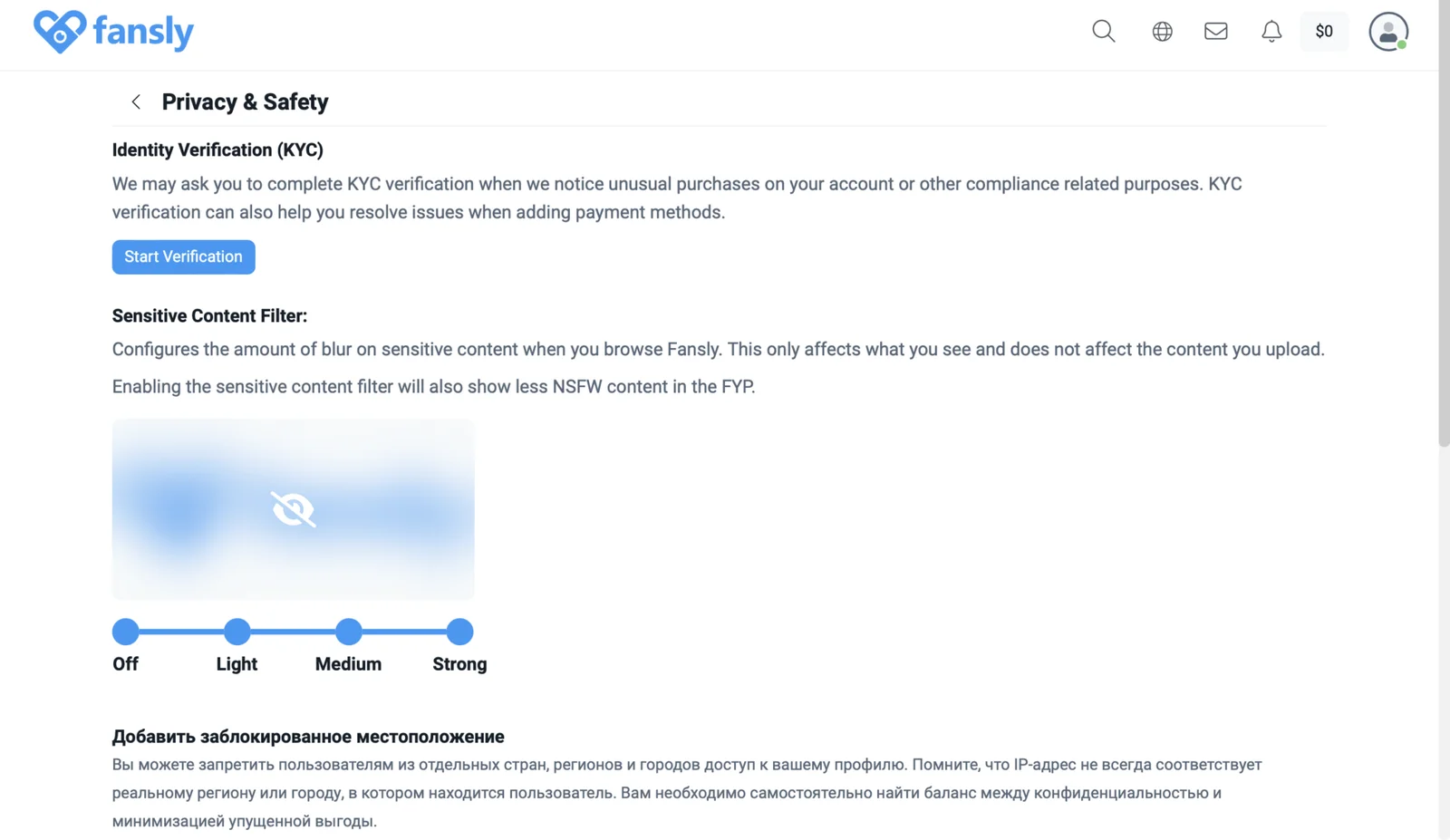 Screenshot of security and privacy information