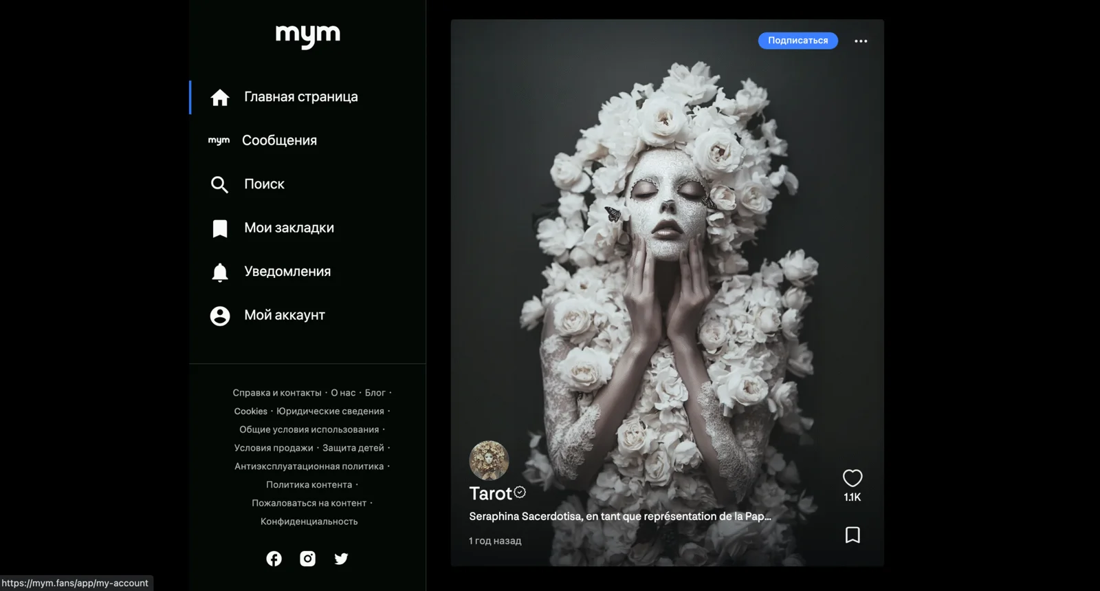 Illustration 1 for the material “Review of the MYM Fans platform, how to make money in 2026”